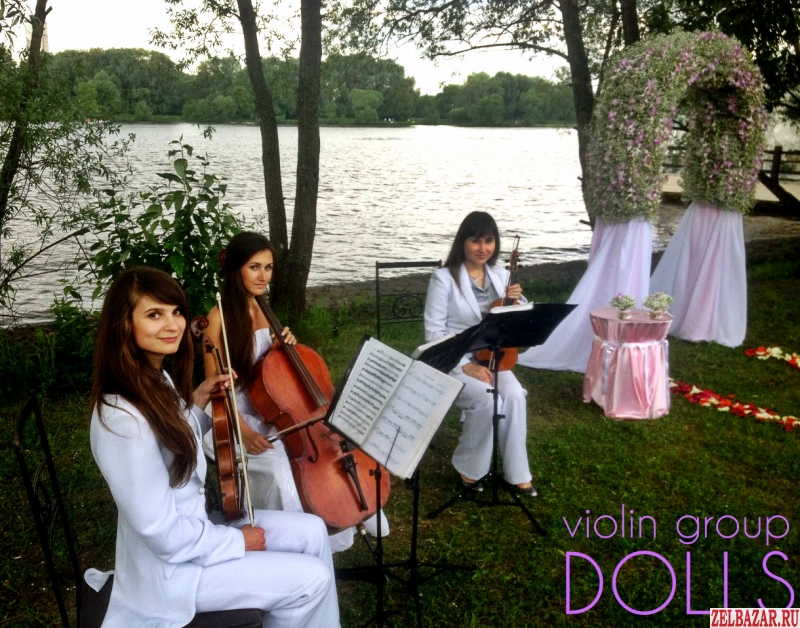 Струнное трио-квартет violin group Dolls,   музыканты,   скрипка
