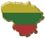 Бизнес миграция в Литву