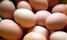 Яйца куриные домашние деревенские (мкр Сходня)